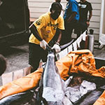 Keeping the catch cold