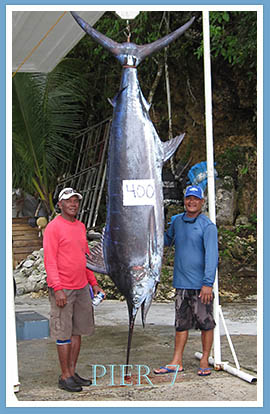 400 lbs. Marlin