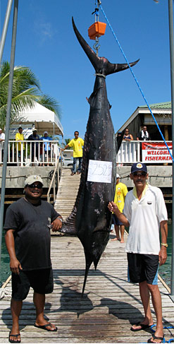 252.5 lbs. Marlin